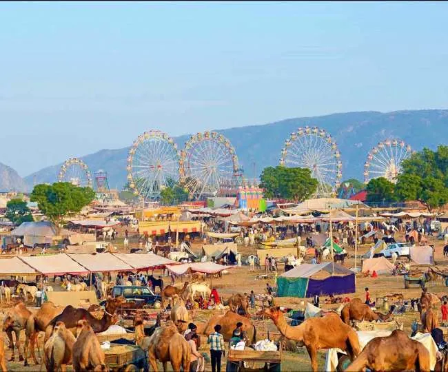 14_11_2018-pushkar_mela_18634949