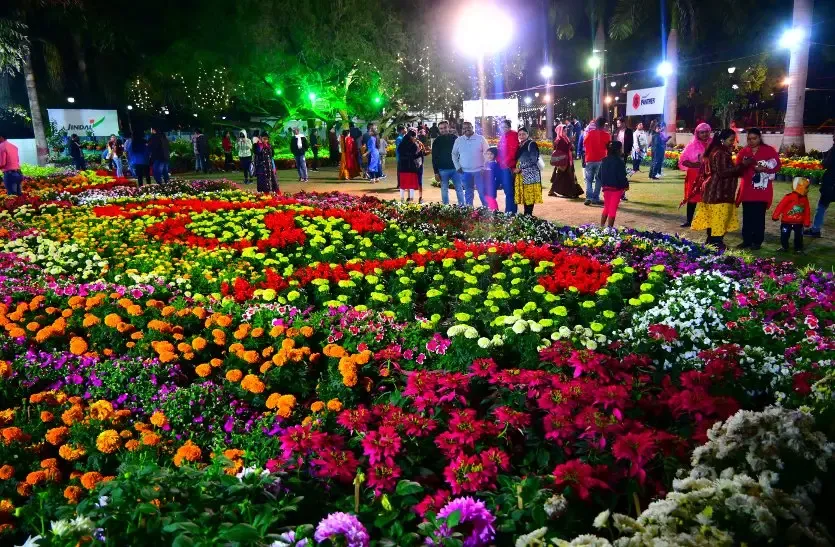 flower 