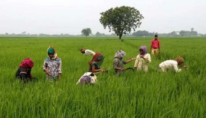 506537-farmers