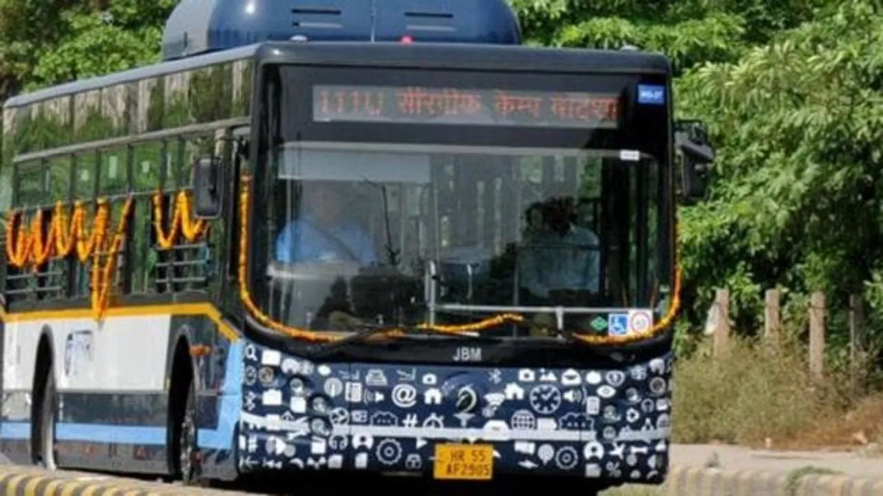 bus