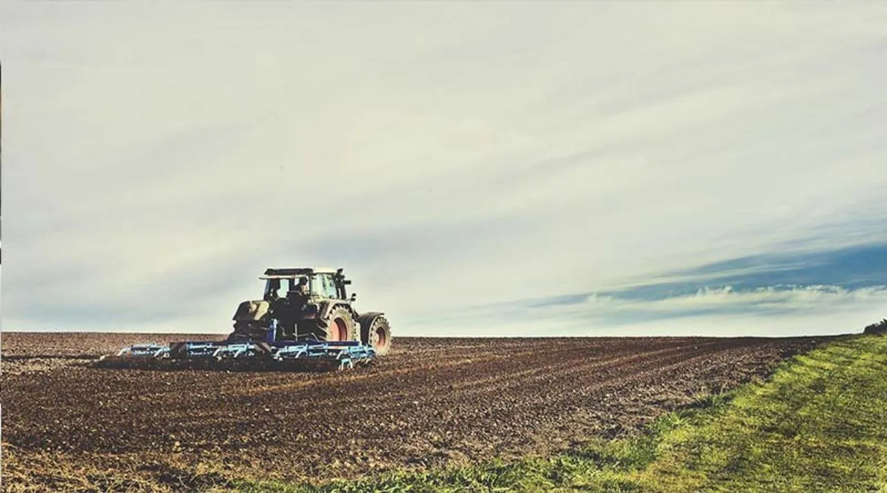 agriculture