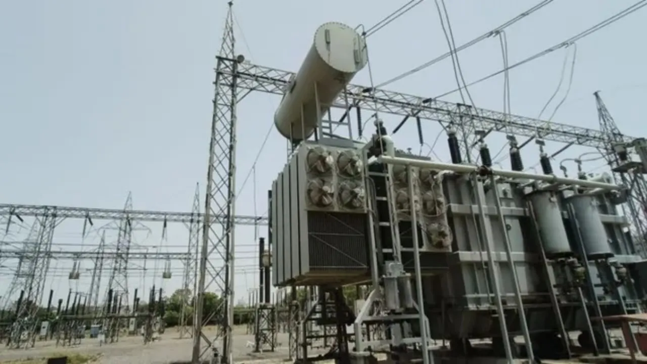 bijli plant