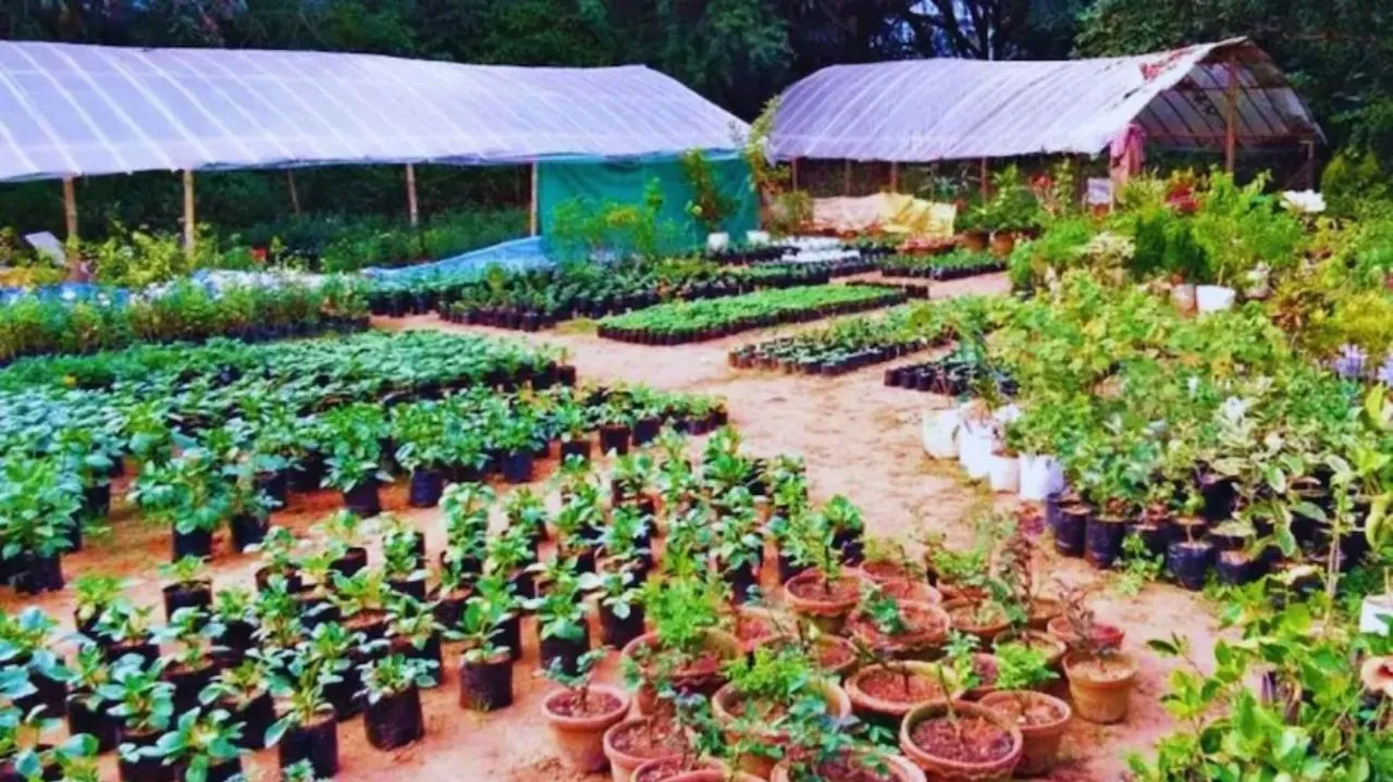 nursery