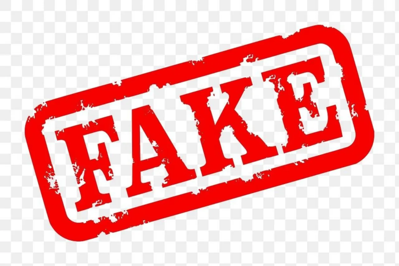 fake 1