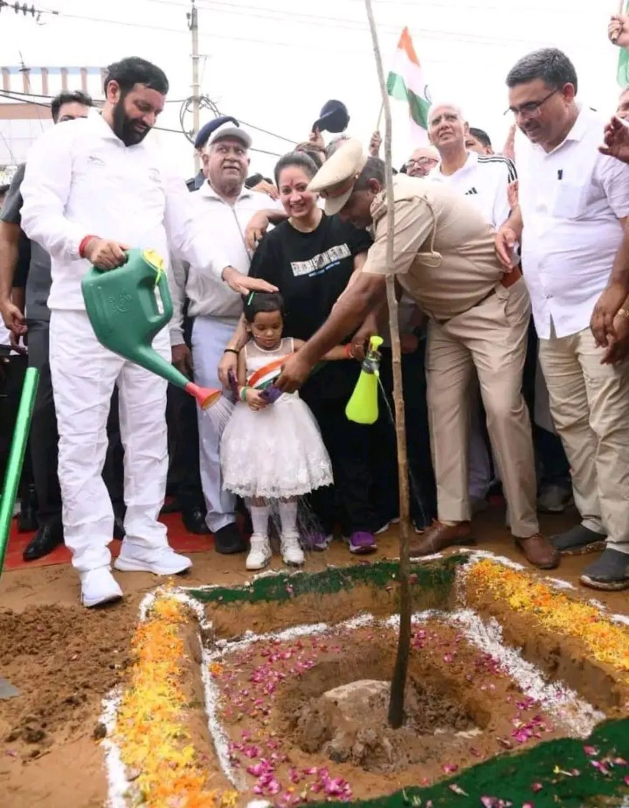 plant1