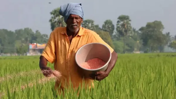 Nuh Mewat News:सरकार द्वारा निर्धारित मूल्य पर ही मिलेगी खाद, अधिक कीमत वसूलने वालों पर होगी सख्त कार्रवाई : उपनिदेशक कृषि