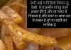 Taudu/Nuh News: तावडू में लोगों के स्वास्थ्य के साथ खिलवाड़: सोशल मीडिया पर वायरल वीडियो ने खोला चाऊमीन वाले का भेद, चाऊमीन की प्लेट में परोसे जा रहे कीड़े