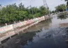 Faridabad News : सेक्टर 21बी सीवर ओवरफ्लो से बना नरक, सडक का हुआ बेड़ा गर्क