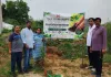 Faridabad News : ह्यूमैनिटी फाउंडेशन ट्रस्ट ने किया पौधारोपण
