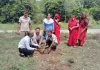 Palwal News : जिला नागरिक अस्पताल सोलडा में पौधारोपण कार्यक्रम आयोजित, पर्यावरण संरक्षण का दिया संदेश