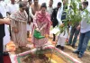 Panchkula News: हरियाणा में मानसून के दौरान 1.40 करोड़ पौधे लगाने का लक्ष्य : मंत्री आरती सिंह राव
