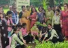 Faridabad News : पेड़ बनने तक करें देखभाल, तभी पौधारोपण कार्यक्रम की सार्थकता : कैलाश शर्मा