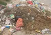 Nuh Tawdu News: सफाई कर्मियों की हड़ताल से बिगड़ रही शहर की सेहत,खांसी-बुखार व त्वचा संबंधी रोगियों की संख्या बढ़ी।