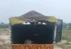 Nuh Mewat News: नूंह पुलिस की कार्रवाई तीन गोवंश मुक्त, दो आरोपी गिरफ्तार, गोकशी पर लगातार कसा जा रहा शिकंजा