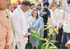 Narnaul News: सीएम नायब सिंह सैनी के नेतृत्व में प्रदेश समृद्धि की ओर अग्रसर, आरती सिंह राव
