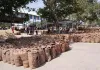 Palwal News : अनाज मंडी में 1 लाख 21 हजार क्विंटल धान की खरीद की गई