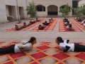 Palwal News : अंतर्राष्ट्रीय योग दिवस-2026 की तैयारियों को लेकर जिला स्तर पर चल रहे हैं विशेष अभियान