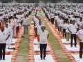 Palwal News : केंद्रीय मंत्री कृष्णपाल गुर्जर ने पलवल में जिला स्तरीय योग दिवस कार्यक्रम में किया योगाभ्यास