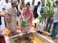 Panchkula News: हरियाणा में मानसून के दौरान 1.40 करोड़ पौधे लगाने का लक्ष्य : मंत्री आरती सिंह राव
