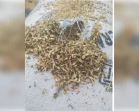 Gulha cheeka News:चीका अनाज मंडी में हुए झार कांड मामले में प्रशासन पर लीपापोती का आरोप, किसान यूनियन भड़की