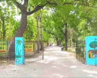 Palwal News : वन विभाग द्वारा जिले को हरित क्षेत्र बढ़ाने के लिए 6 लाख पौधे तैयार किए जा रहे