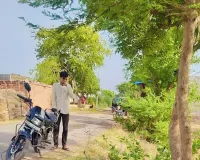 Firozepur Jirkha: पाठखोरी में अंधड़ और बारिश से नुकसान, टीन शेड व कच्चे छप्पर उड़े, 6 बिजली खंभे टूटे