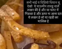 Taudu/Nuh News: तावडू में लोगों के स्वास्थ्य के साथ खिलवाड़: सोशल मीडिया पर वायरल वीडियो ने खोला चाऊमीन वाले का भेद, चाऊमीन की प्लेट में परोसे जा रहे कीड़े