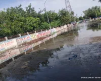 Faridabad News : सेक्टर 21बी सीवर ओवरफ्लो से बना नरक, सडक का हुआ बेड़ा गर्क