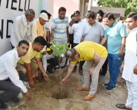 Palwal News : पौधा लगाकर परिवार के सदस्य की तरह करें परवरिश : उपायुक्त