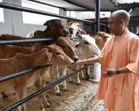 Uttar Pradesh News: भूमि संबंधी प्रकरणों में लापरवाही पर हो सख्त कार्रवाई: मुख्यमंत्री