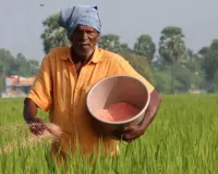 Nuh Mewat News:सरकार द्वारा निर्धारित मूल्य पर ही मिलेगी खाद, अधिक कीमत वसूलने वालों पर होगी सख्त कार्रवाई : उपनिदेशक कृषि