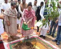 Panchkula News: हरियाणा में मानसून के दौरान 1.40 करोड़ पौधे लगाने का लक्ष्य : मंत्री आरती सिंह राव