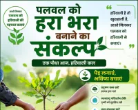 Palwal News: वन मंडल पलवल की नर्सरियों में 5.67 लाख से अधिक पौधे उपलब्ध