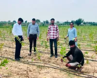 Nuh Mewat News: बागवानी अपनाकर किसान बढ़ाएं आय, सरकार दे रही प्रति एकड़ 42 हजार रुपये तक का अनुदान : जिला उद्यान अधिकारी