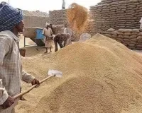 Nuh Mewat News: जुलाई एवं अगस्त माह का गेहूं तथा जुलाई माह का तेल व चीनी एक साथ वितरित किए जा रहे हैं