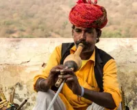 Nuh Mewat News: राज्य स्तरीय बीन प्रतियोगिता का आयोजन 2 सितंबर को: डीपीआरओ