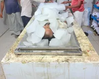 Mewat Ferozepur Jirkha News: बर्फ के सहारे शव रखने की तस्वीर ने स्वास्थ्य व्यवस्था पर उठाए गंभीर सवाल