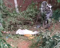 Narnaul News: ब्रेजा कार की टक्कर से स्कूटी सवार 26 वर्षीय युवक की मौत, आरोपी चालक फरार
