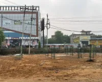 Narnaul News: सीएम पौधे लगाकर गए तो पीछे से रखवाली करना भूल गया प्रशासन 
