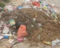 Nuh Tawdu News: सफाई कर्मियों की हड़ताल से बिगड़ रही शहर की सेहत,खांसी-बुखार व त्वचा संबंधी रोगियों की संख्या बढ़ी।