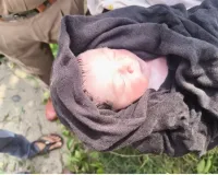 Palwal/Hathin News: नवजात बच्ची रोड किनारे झाड़ियों में स्वस्थ अवस्था में मिली  