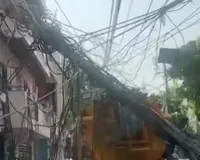 Gurugram News: गुरुग्राम में तारों का जंजाल बना जानलेवा: निगम की गाड़ी फंसी तो सड़क पर गिरा बिजली का खंभा