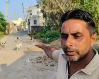 Yamuna nagar/Sadhaura News: आवारा कुत्तों के आतंक से मुक्ति चाहता है साढ़ौरा ।