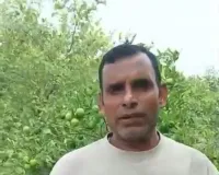 Palwal News : नींबू की बंपर पैदावार से संवरी किसान नरेश महोली की तकदीर, बागवानी बनी खुशहाली का जरिया