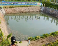 Palwal News : हरियाणा सरकार के ग्रामीण विकास कार्यों से निखर रहा गांव नांगल जाट