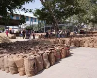Palwal News : अनाज मंडी में 1 लाख 21 हजार क्विंटल धान की खरीद की गई