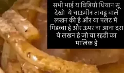 Taudu/Nuh News: तावडू में लोगों के स्वास्थ्य के साथ खिलवाड़: सोशल मीडिया पर वायरल वीडियो ने खोला चाऊमीन वाले का भेद, चाऊमीन की प्लेट में परोसे जा रहे कीड़े