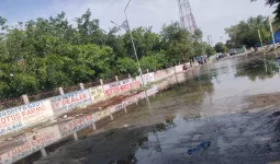 Faridabad News : सेक्टर 21बी सीवर ओवरफ्लो से बना नरक, सडक का हुआ बेड़ा गर्क