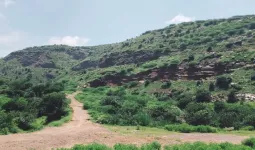 Nuh Mewat News: 6 साल बाद खुली नगीना-तिजारा सड़क की राह, तकनीकी सर्वे रिपोर्ट से निर्माण को मिली गति