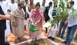 Panchkula News: हरियाणा में मानसून के दौरान 1.40 करोड़ पौधे लगाने का लक्ष्य : मंत्री आरती सिंह राव